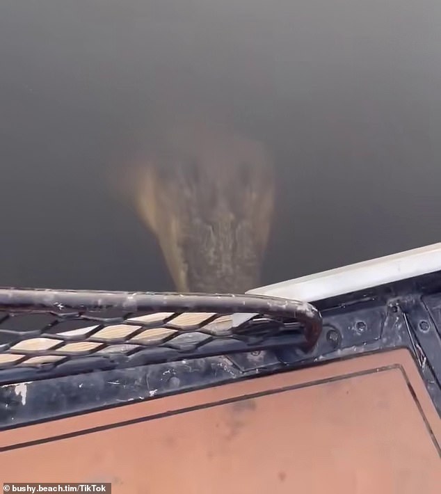 Northern Territory crocodile attempts to attack woman on a boat 