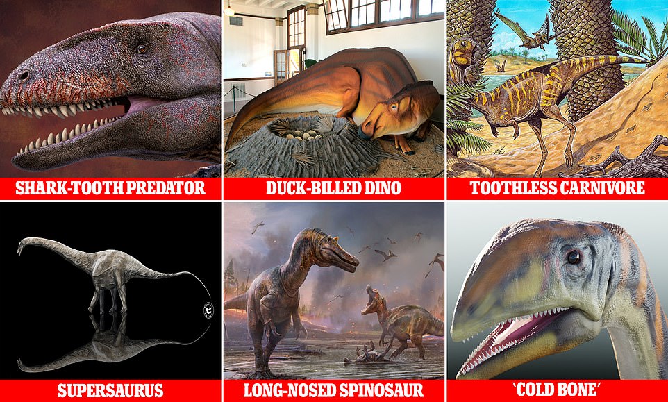 Dinosaurs: The most weird and wonderful creatures discovered in 2021 1