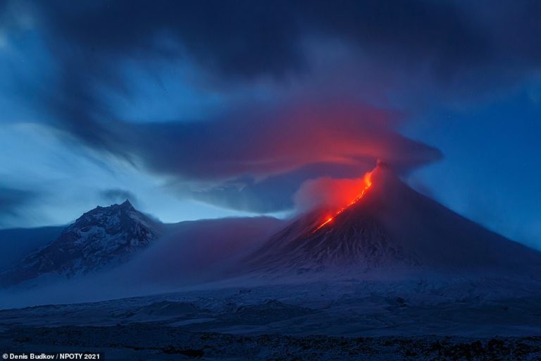 The incredible winners of the Nature Photographer of the Year 2021 contest revealed 
