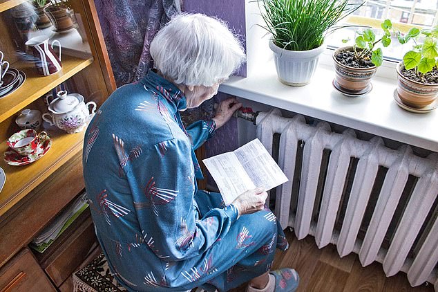 Experts call for extra benefits to protect elderly from fuel poverty