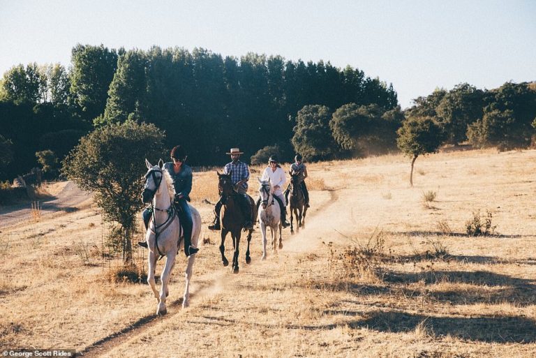 Spain holidays: Why a riding and glamping trip through the wilds of Andalucia is an epic adventure 