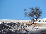 SNOW falls in the SAHARA as ice blankets the dunes in rare desert phenomenon