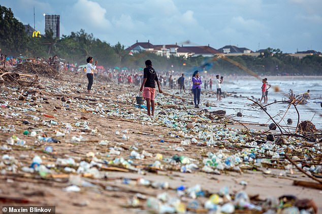 Plastic pollution is ‘a planetary emergency’, report warns 