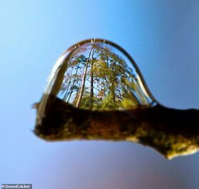 Social media users share incredible pictures of reflections creating optical illusions