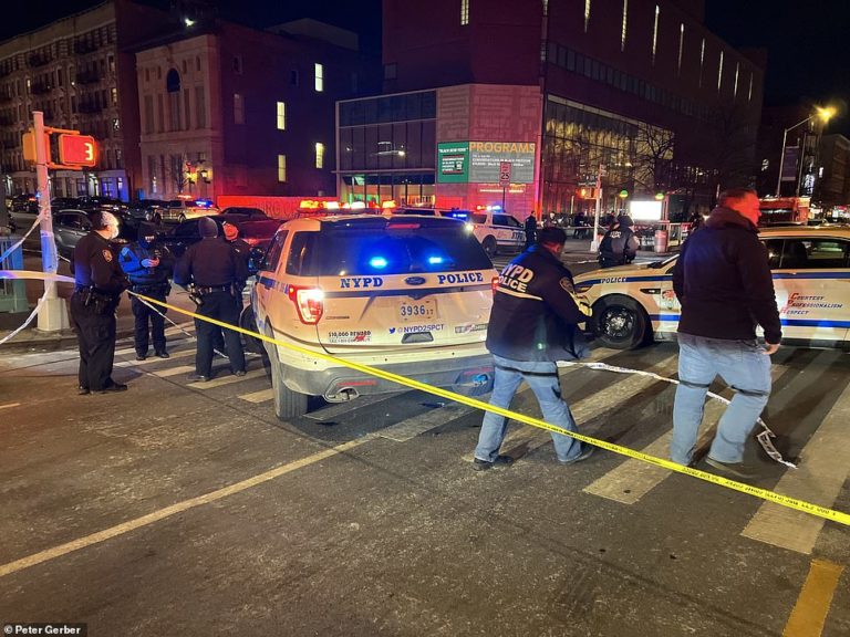 Two NYPD officers are shot dead responding to domestic violence call in Harlem