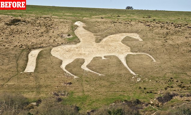 Osmington White Horse that was created in 1808 almost vanished after being untreated for THREE YEARS 1