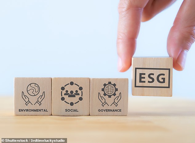 What are ESG investments and do they do any good? Investing Explained