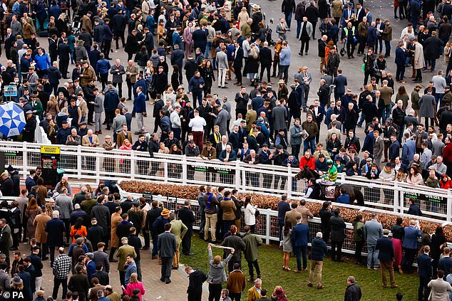 Animal groups call for end to Cheltenham after horse dies on festivals first day