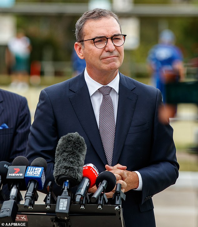 Steven Marshall quits as Liberal Party leader a day after Labor stormed to victory