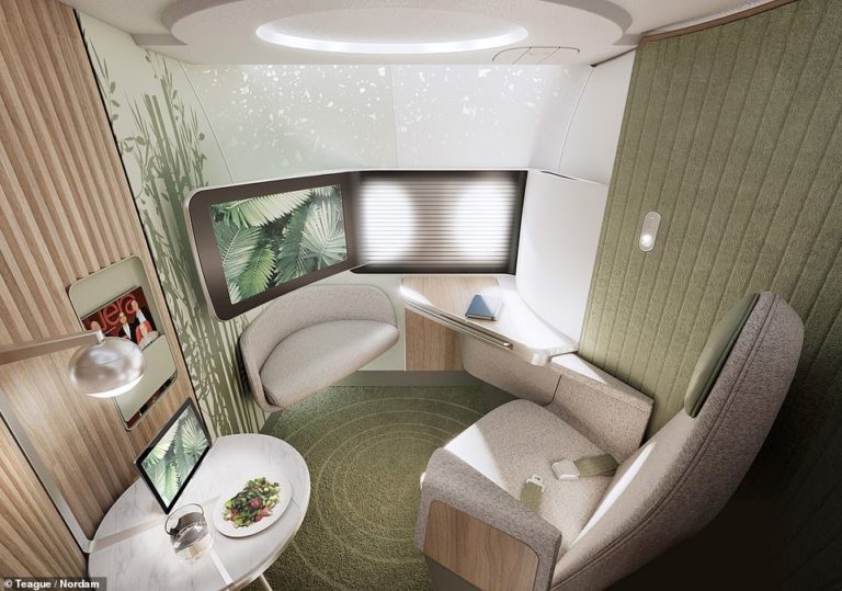 Pictured: The stunning new business class aircraft cabin that looks like a living room in the sky