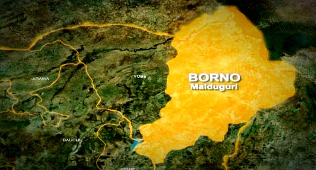Borno police arrest two soldiers, three others for robbing POS agent 1