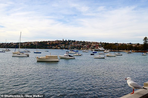 Mahmoud ‘Brownie’ Ahmad shooting: Fears Sydney’s underworld gangland set to EXPLODE
