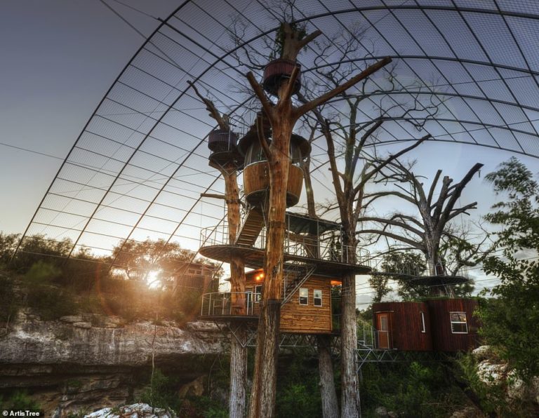 Treehouses for adults: Live out your Peter Pan dreams in these extraordinary treetop hideaways
