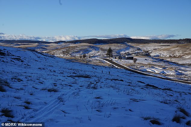 Two people dead after helicopter crash in the Snowy Mountains in southern NSW
