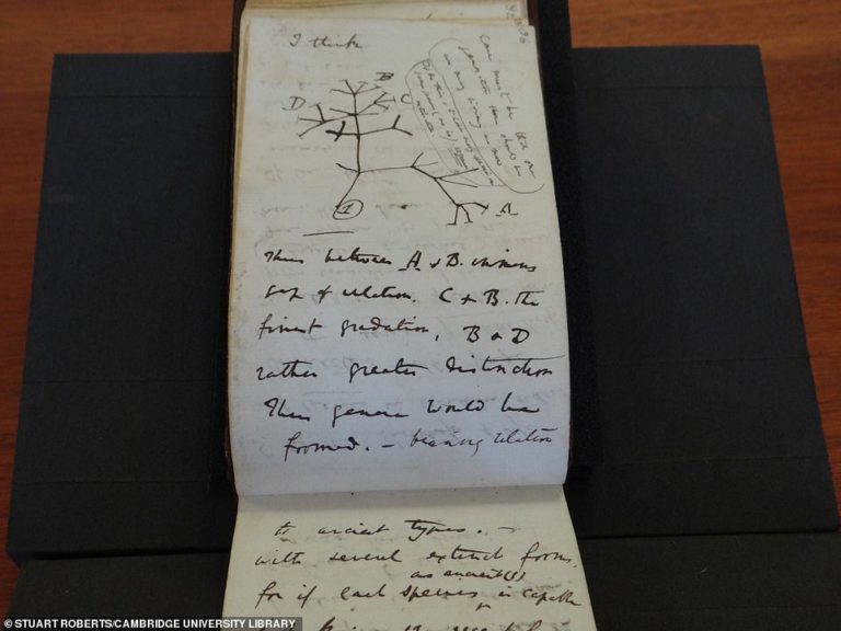 Charles Darwin notebooks stolen from Cambridge University Library in 2001 are anonymously returned