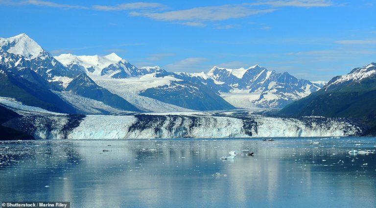 U.S holidays: Enjoying the adventure of a lifetime in Alaska, home to glaciers and wondrous wildlife