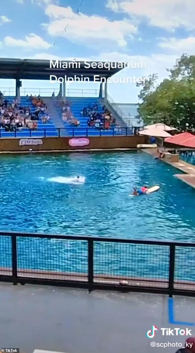 Photos show furious DOLPHIN attacking trainer in front of horrified families at Miami Seaquarium