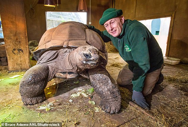 Blackpool Zoo’s giant ‘much-loved’ tortoise Darwin dies aged 105