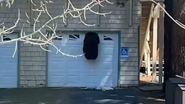 Moment a bear wriggles through a tiny garage window in search of food in Tahoe [Video]