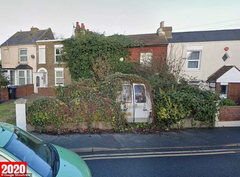 Neighbour is ‘forced to rebuild garden wall’ due to out of control vines on next door’s home in Kent