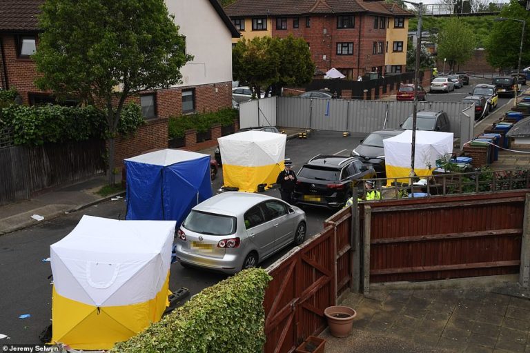 Three women and a man are stabbed to death in a house in London