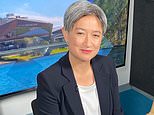 How Penny Wong hopes to repair relations with China as she secures top role in Albanese government 