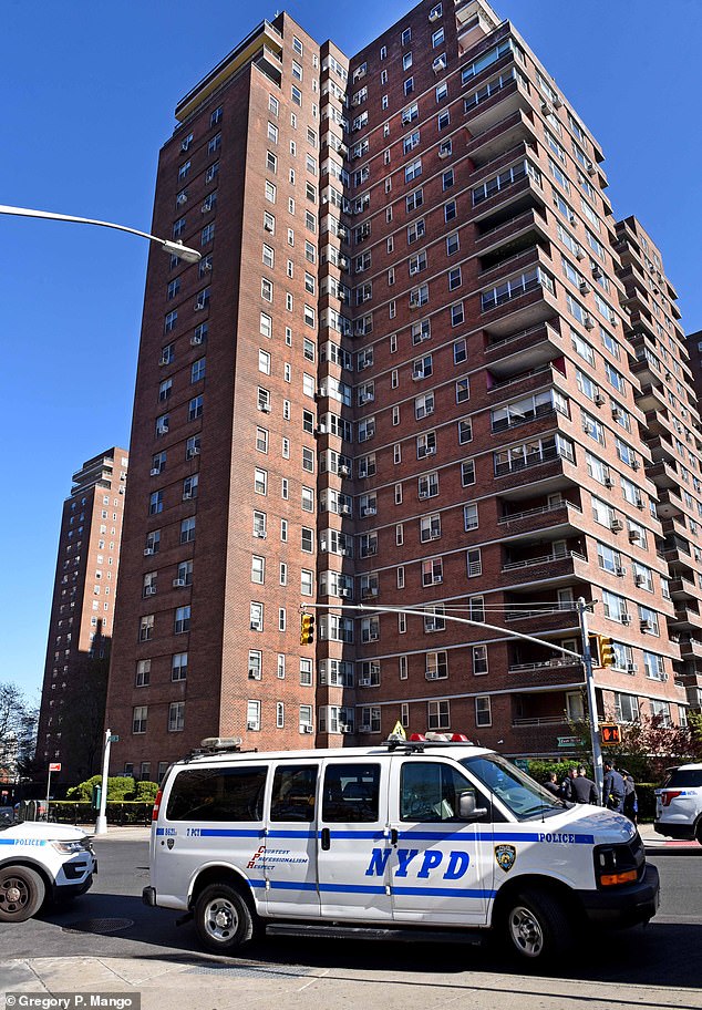 Man leaps from New York City balcony with two dogs and cat, killing himself and two of his pets 