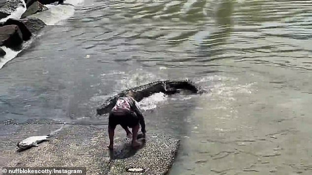 Yes, there are still REAL men in Australia: Insane moment fisho risks his life against a croc