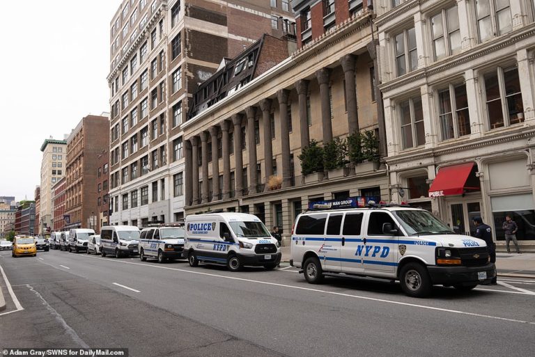 Seven NYPD vehicles line a block in New York City’s East Village to remove a SINGLE homeless tent
