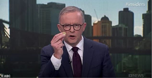 Anthony Albanese confuses minimum pay rise of $1 an hour for $1 a week