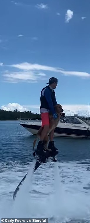 Rocket dog! Moment owner takes his Golden Retriever on a joyride in a Flyboard