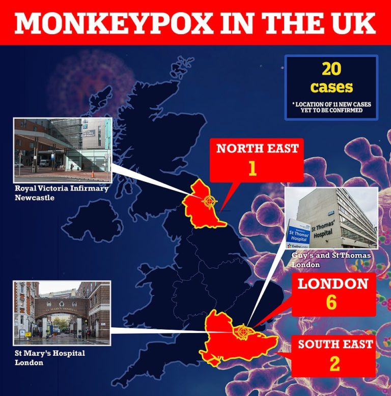 Health chiefs brace for ‘MORE monkeypox cases in the coming days’