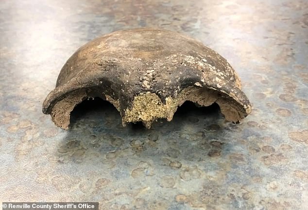 Skull of man dating back 8,000 YEARS is found by two kayakers during drought in Minnesota River