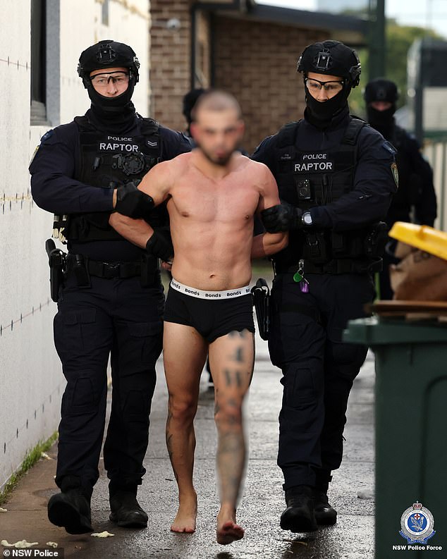 Accused members of Alameddine crew arrested in crackdown on alleged Sydney drug syndicate