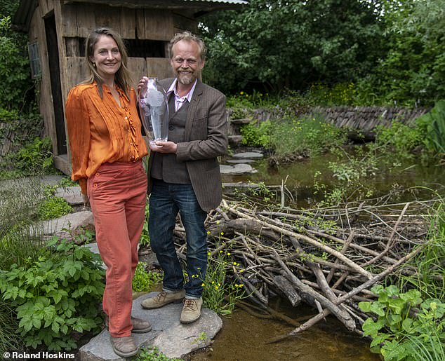 Ramshackle plot featuring shed and a pile of sticks wins first prize at Chelsea Flower Show 