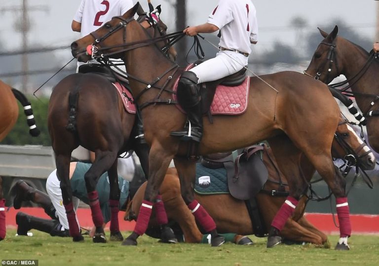 Prince Harry takes a tumble at the polo: Duke of Sussex falls off his horse