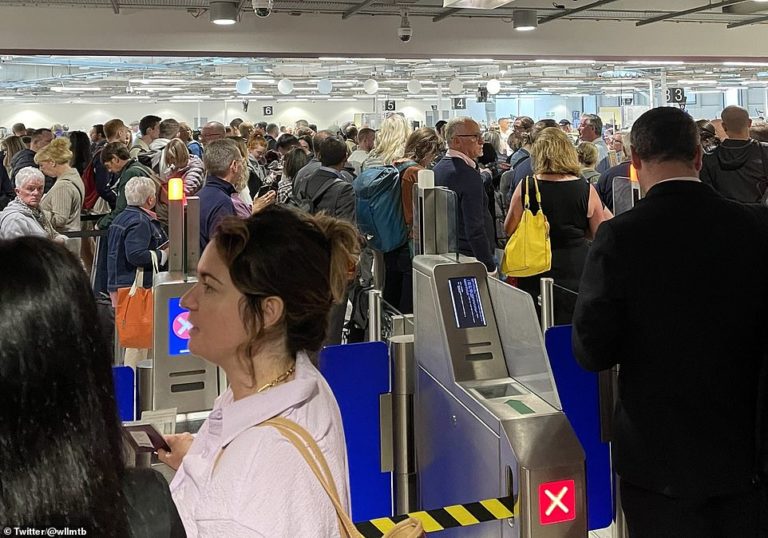 UK airport chaos: Tui boss emails customers apologising for ‘distress caused by cancellations’