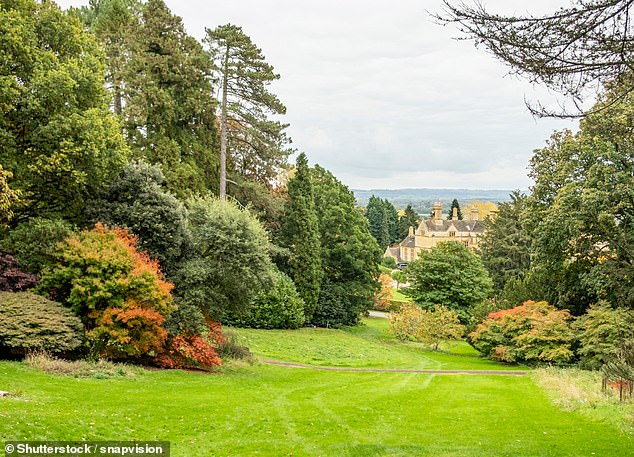 Exclusive for Mail on Sunday readers: Explore the gardens of the Cotswolds with Christine Walkden 