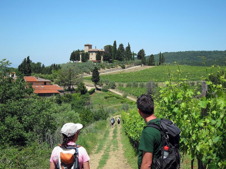 Saunter through Spain and potter through Provence: Last-minute walking holidays available in Europe